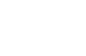 Gamize